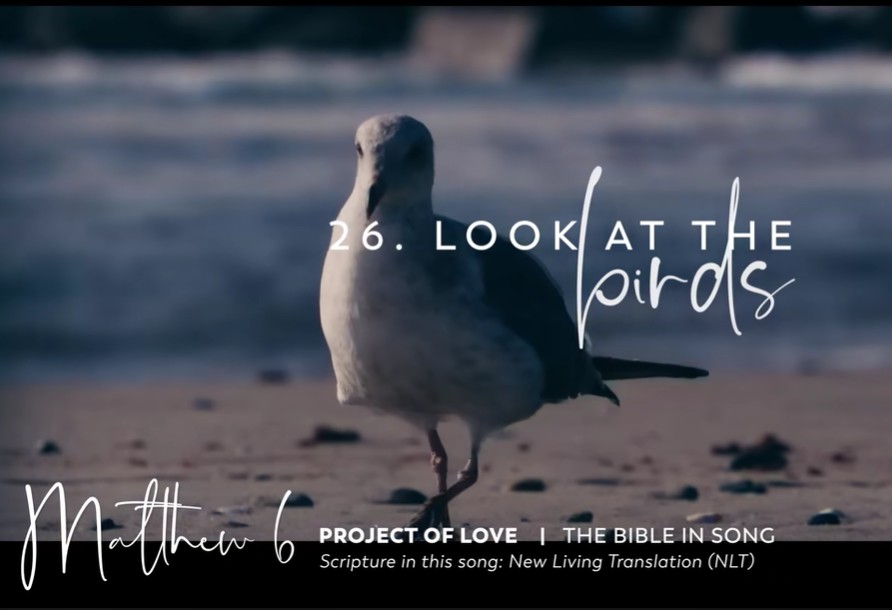 Matthew 6 - Look At the Birds 